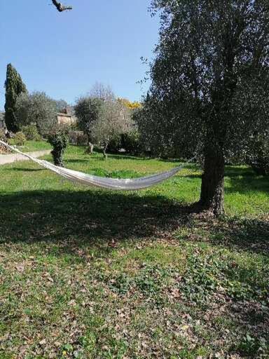 Studio Au Milieu D Une Oliveraie Le Mas De La Huppe Tourrettes-sur-Loup Luaran gambar